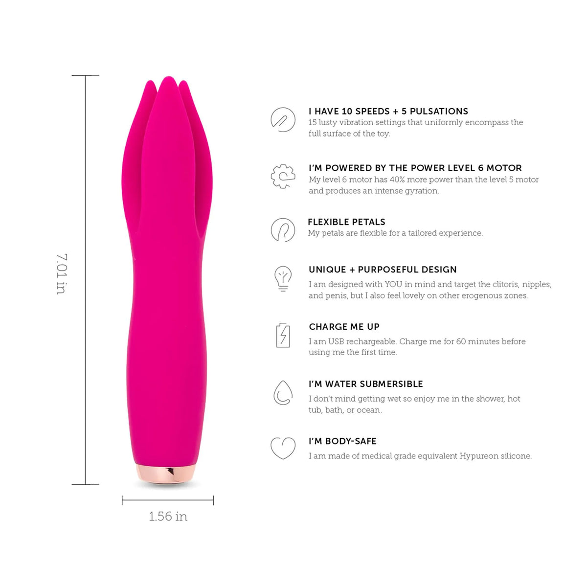 Tulip dimensions and product information
