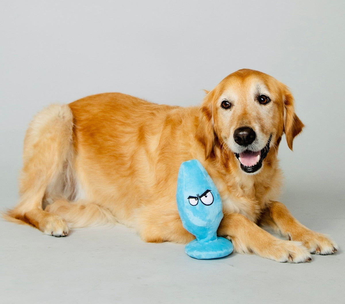 Golden retriever beside the Mutt Plug McRuff plush dog toy