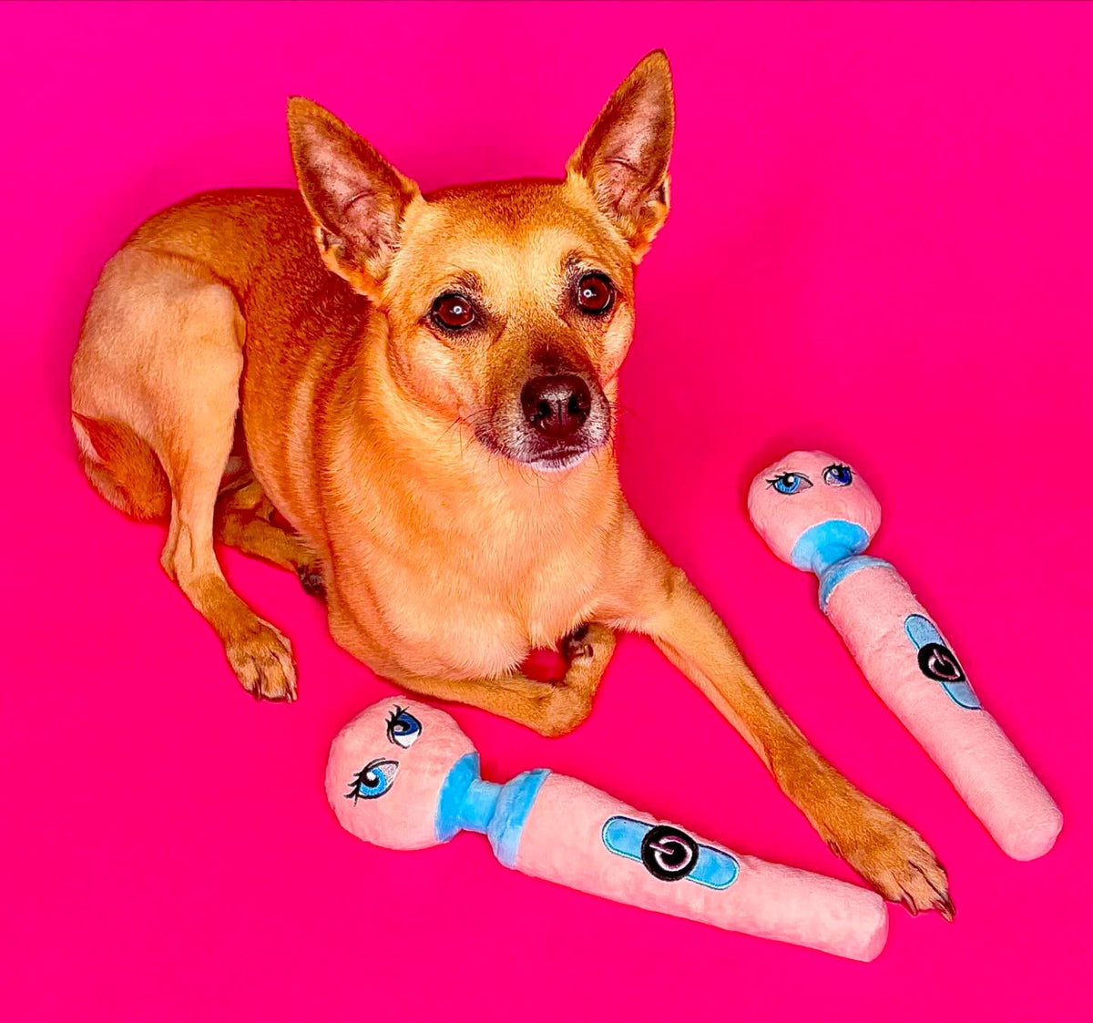 Dog posing with Wanda DelPoochie plush toys on a pink background