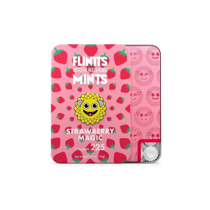 Flintt Mints - bye bye dry mouth