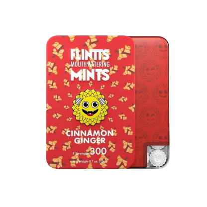 Flintt Mints - bye bye dry mouth