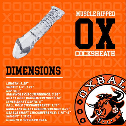 Oxballs Muscle Ripped dimensions and specifications infographic