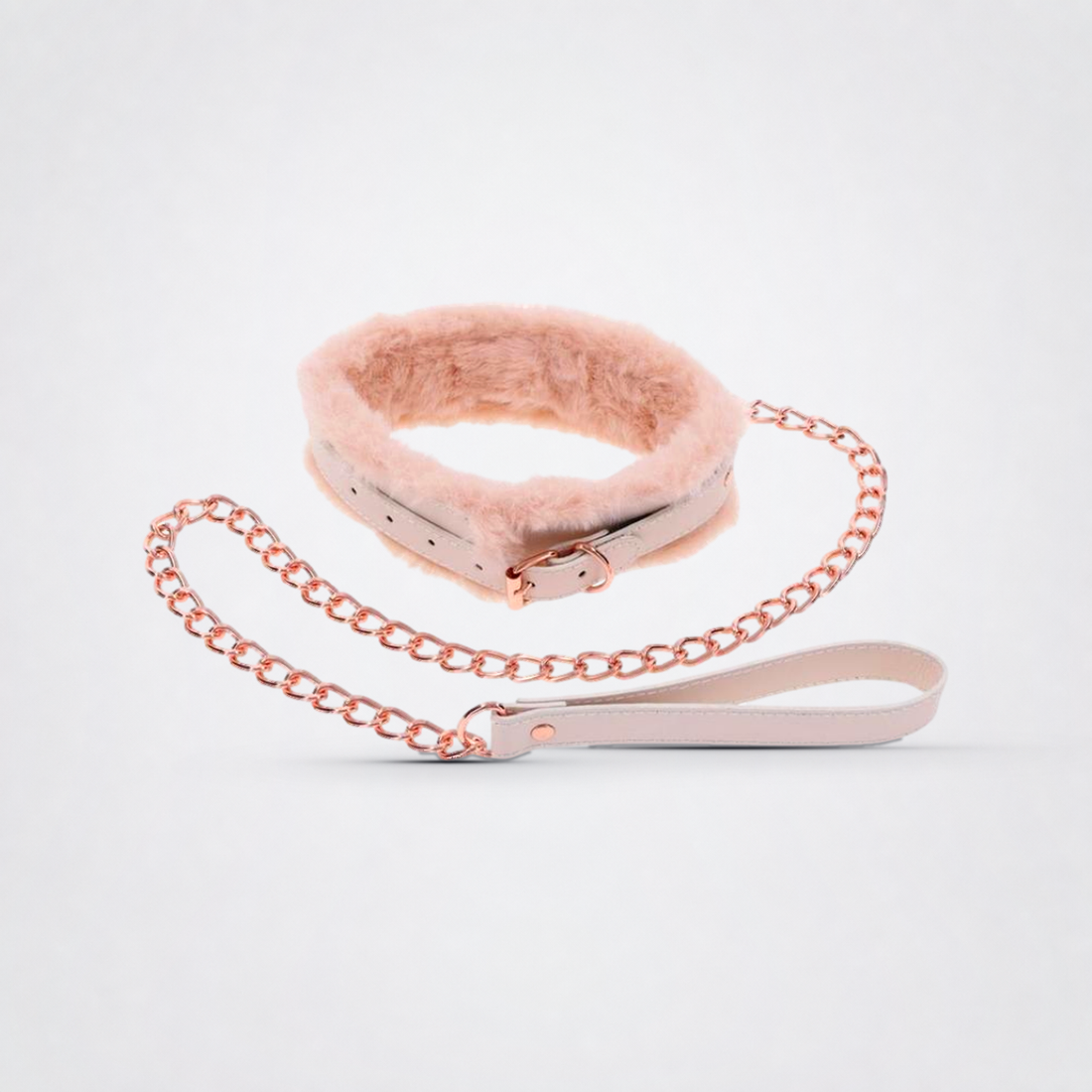 Peaches ‘n Creame Fur Collar &amp; Leash on The Luv Coach approved neutral studio background
