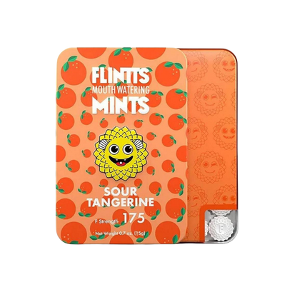 Flintt Mints - bye bye dry mouth